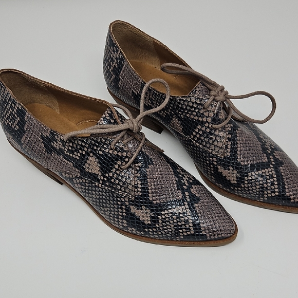 Lucky Brand Shoes - Lucky Brand Erreka Snakeskin Lace-Up Derby Oxfords Womans 7M